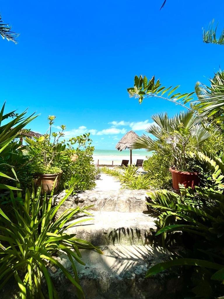 Casa Tom Tom - Adults Only Bed & Breakfast Isla Holbox Bagian luar foto